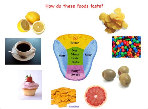 Sense Of Taste Activities Do An Experiment Like A Taste Test Where