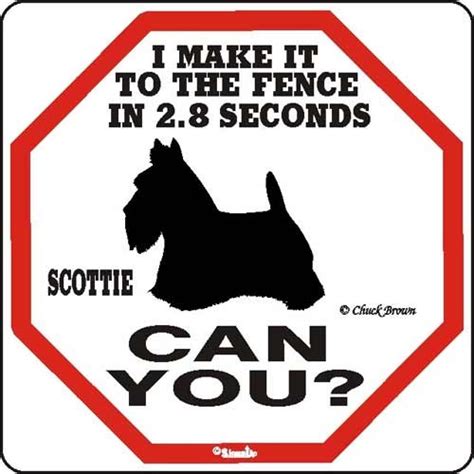 139 Best Images About Scottie Sayings On Pinterest Keep Calm My