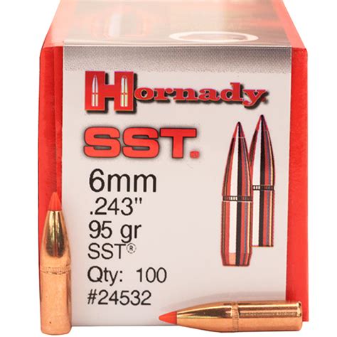 Hornady 6mm 243 95gr Sst 100 Mfg 24532 Hunting