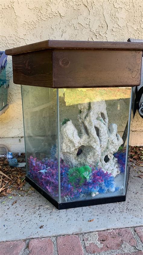 55 Gallon Hexagon Fish Tank For Sale In Los Angeles Ca Offerup