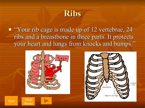 Interactive Powerpoint Skeletal System