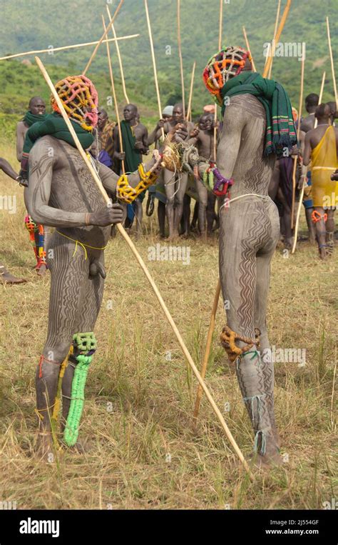 donga stick fighters tribu surma tulgit rivière omo vallée ethiopie photo stock alamy