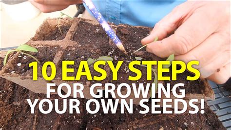 Grow Your Own Seeds Scotts Nursery 506 458 9208 Or 1 800 561 7268