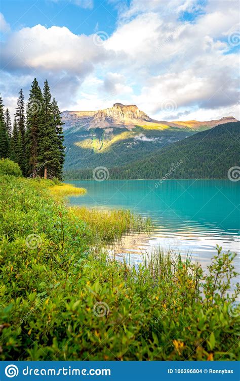 Beautiful Reflection At Emerald Lake In Yoho National Park British