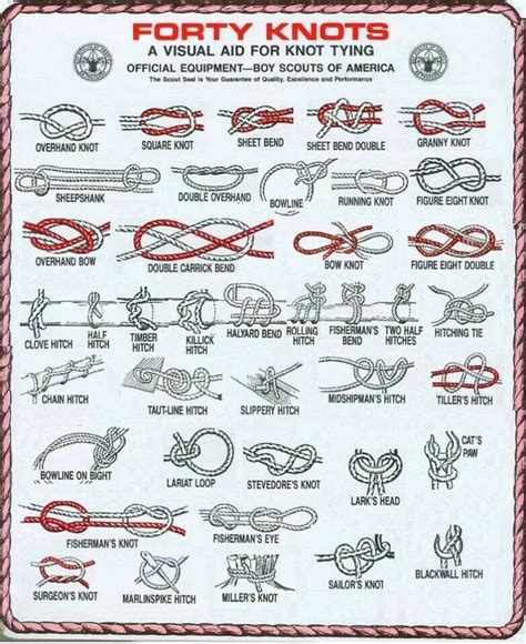 40 Knots Knots Guide Knots Survival Skills