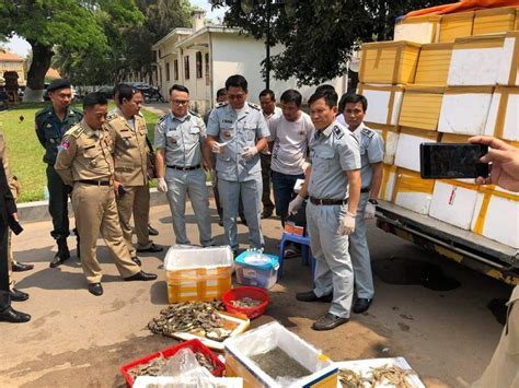 Watch the latest videos from seized. 7,520kg of Seafood Seized (Video) ⋆ Cambodia News English