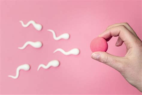 5 Myths About Ivf Carolinas Fertility Institute