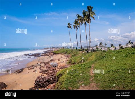 Atlantic Ocean Coastline With The Turquoise Waves Among The Palm Trees