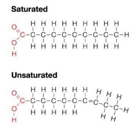 Saturated Vs Unsaturated Lipids
