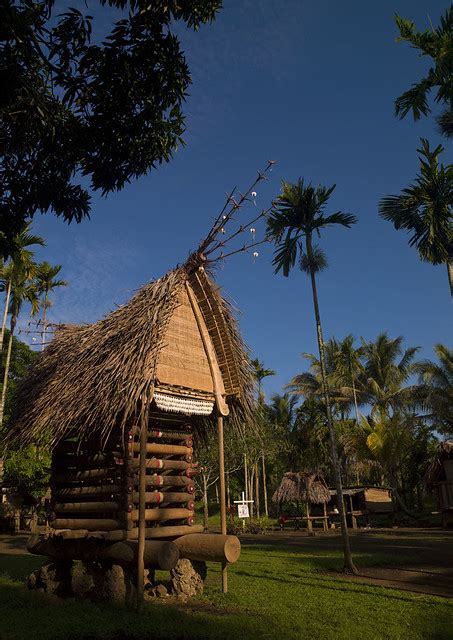 House In A Village To Store The Yam Roots Milne Bay Province