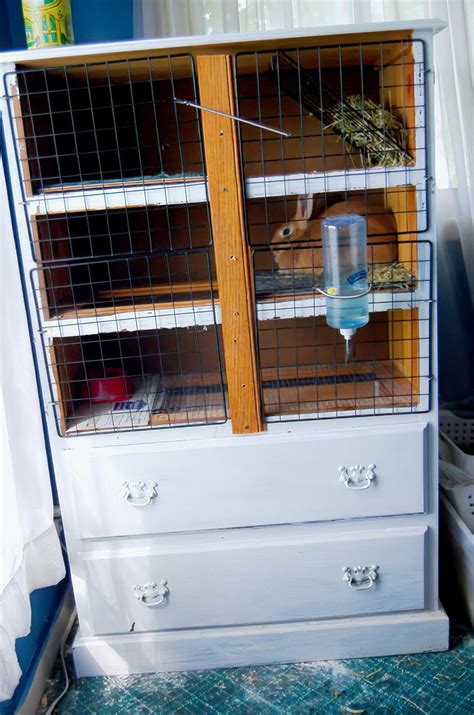 How To Build A Rabbit Hutch Rabbits For Sale