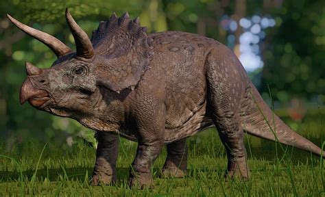 Triceratops Jurassic World Evolution Hd Wallpaper Pxfuel