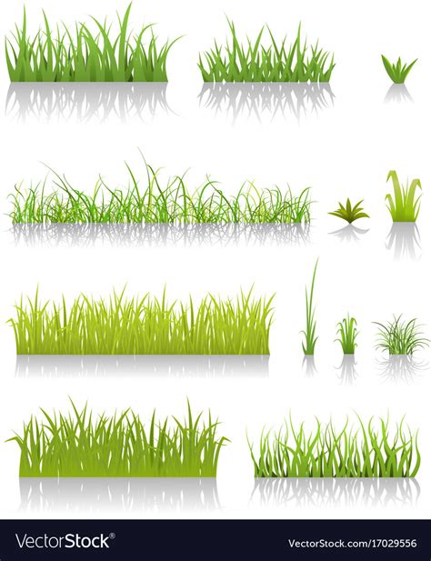 Green Grass Set Royalty Free Vector Image Vectorstock