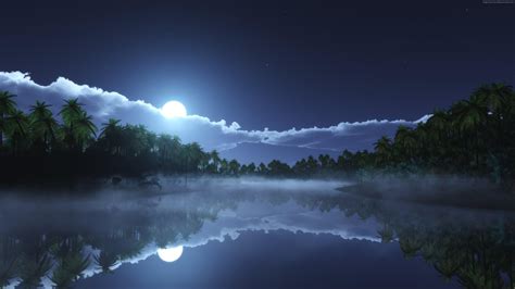 Tropical Night Reflection Wallpaper Backiee