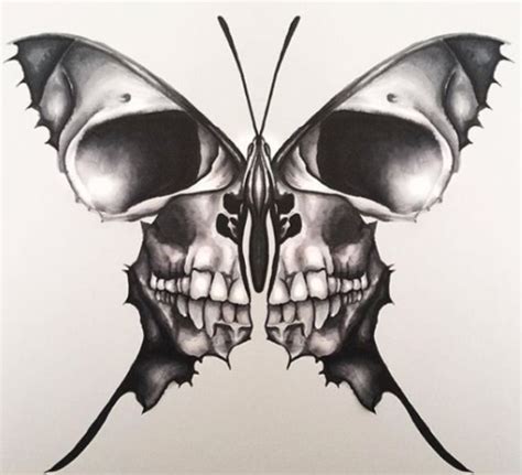 Thisnthat Photo Skull Butterfly Tattoo Skulls Drawing Butterfly