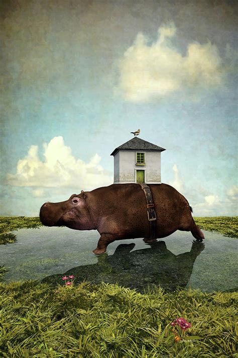 House Hippo Digital Art By Cynthia Decker Pixels