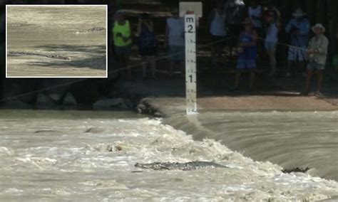 Massive Crocodiles Ride Currents Metres Away From Fishermen In The