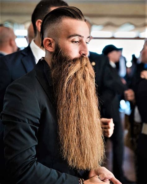 Pin By Russell Renneberg On Beards Hair And Beard Styles Long Beards Beard Styles