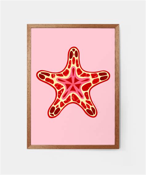 Sea Biscuit Starfish Pete Cromer
