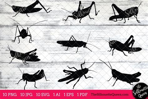 Grasshopper Insect Silhouettes Clipart Clip Art Ai Eps