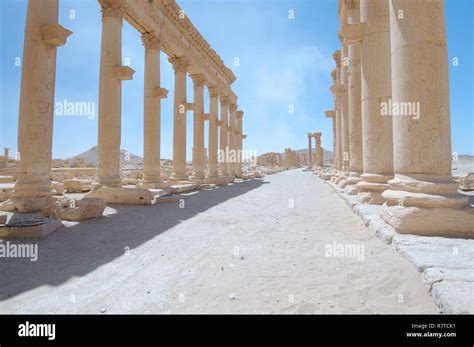 Ancient City Of Palmyra Hi Res Stock Photography And Images Alamy