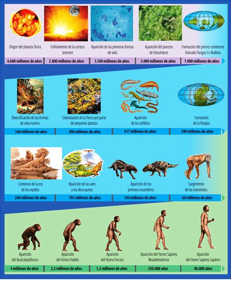 Lista 102 Imagen Línea Del Tiempo De La Evolución Del Ser Humano Alta