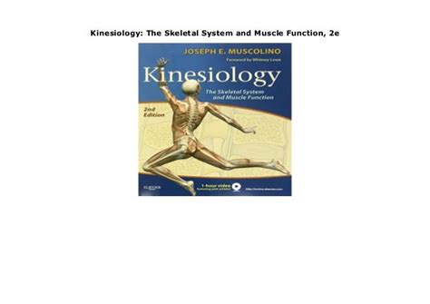 Kinesiology The Skeletal System And Muscle Function 2e