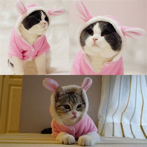 Cute Pet Dog Clothes Cat Outfit Pajama Puppy Coat Hoodies Funny Rabbit