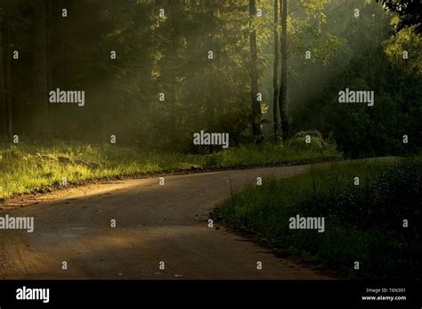 Sunbeams On A Road Stock Photo Alamy