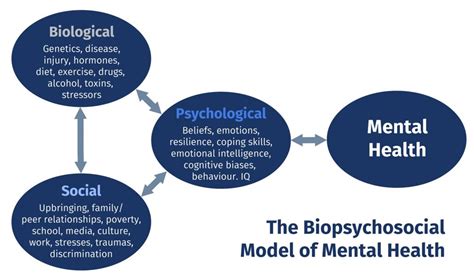 Biopsychosocial Model Of Mental Illness Diagnosis Get Essay Writing