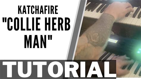 Check out collie herb on beatport. Chord Collie Herb Man - Regardez gratuitement la vidéo de collie herb man par katchafire sur l ...