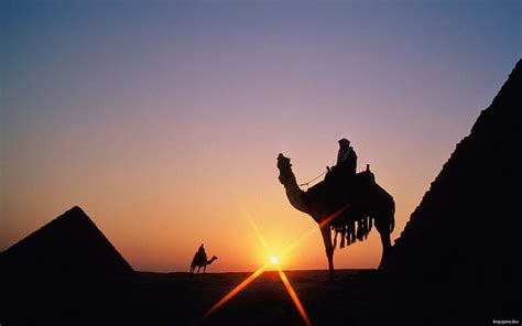 Egyptian Sunset Graphy Desert Pyramids Camels Sunset Days End