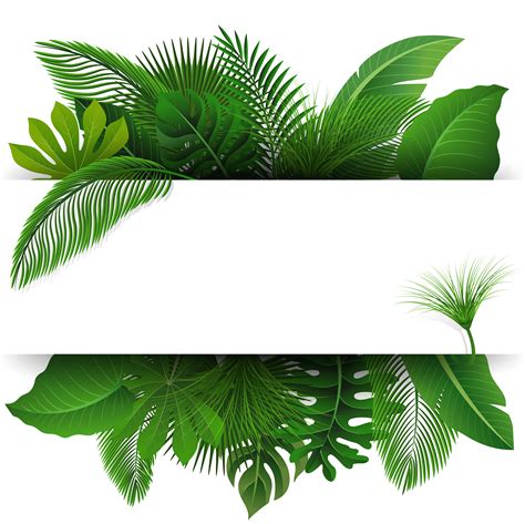 Sign with text space of Tropical Leaves. Suitable for nature concept, vacation, and summer ...