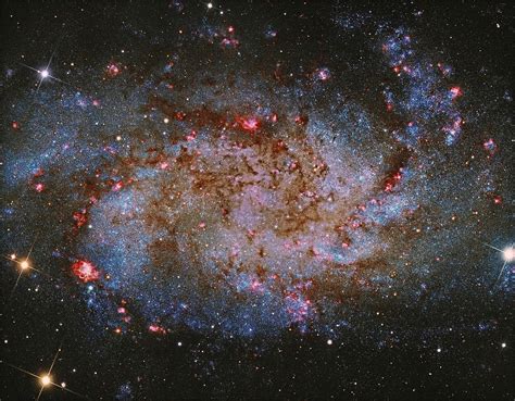 Galaxia Espiral Del Triángulo Ngc 598 O M33 Es Una De Los Miembros De