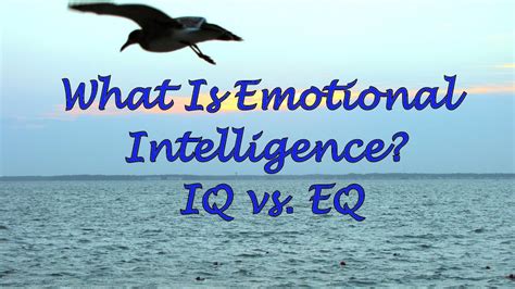 What Is Emotional Intelligence Iq Vs Eq Youtube