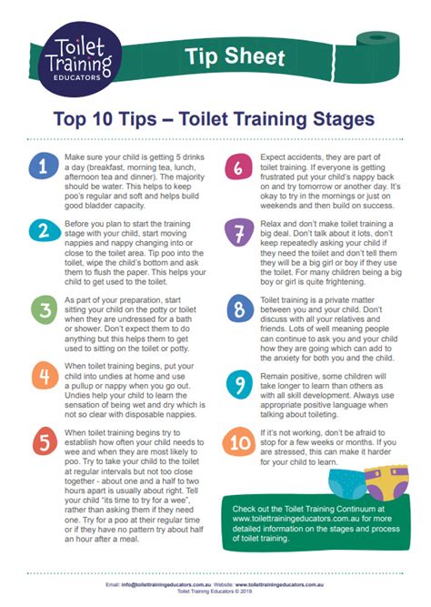 Top 10 Tips Toilet Training Stages Toilet Trainers Educators