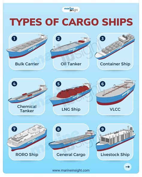 Types Of Cargo Ships And What They Look Like Daily Infographic