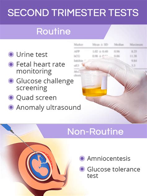 prenatal testing shecares