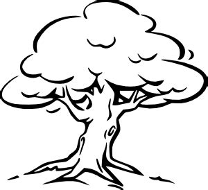 tree outline | Tree outline, Tree coloring page, Family tree clipart