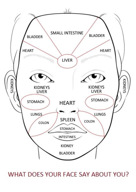 Acne Face Map Ayurveda Surffishinga