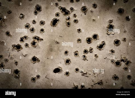 Bullet Holes Hi Res Stock Photography And Images Alamy