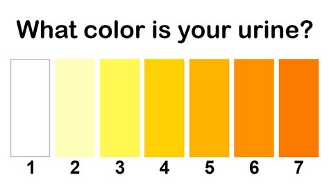 The Color Of Your Urine Reveals About Your Health Issues. Must Know!!
