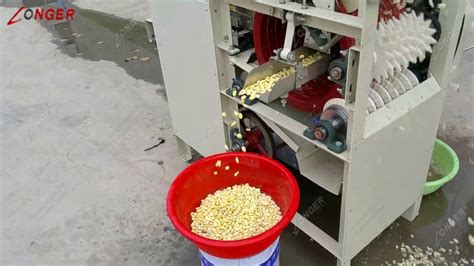 Wet Peanuts Peeling Machine Blanched Almond Badam Chickpeas Peeler