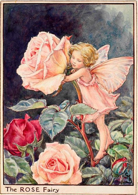 The Rose Fairy Flower Fairies