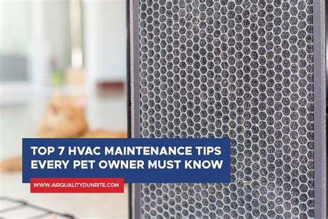 Top 7 Hvac Maintenance Tips Every Pet Owner Must Know Air Quality Dunrite