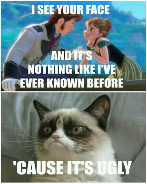 Pin By Kelly Viljoen On Frozen Funny Grumpy Cat Memes Funny Cat