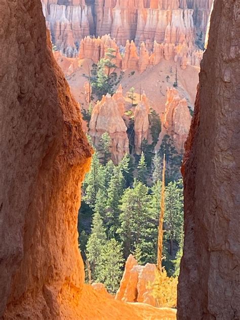 Bryce Canyon Utah Adventures Travel Salt Lake City Hiking Trip