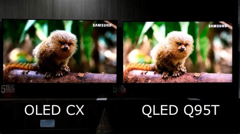 Oled Cx Vs Qled Q95t Side By Side 4k Hdr Demos And Terrestrial Hd Tv