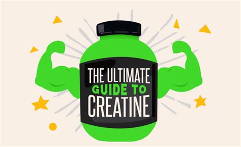 The Ultimate Guide To Creatine Infographic Infographic Plaza