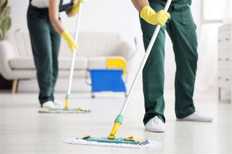 Floor Cleaning Tips For Your Apartment In Chicago Farming Selfie